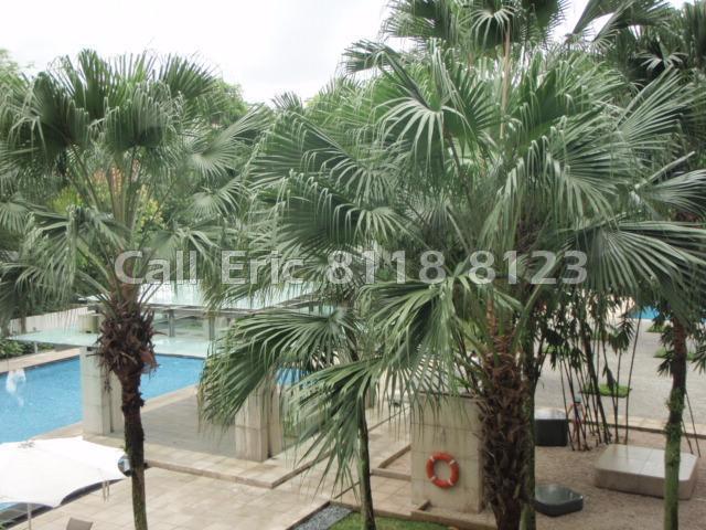 Grange Residences (D10), Condominium #105898782